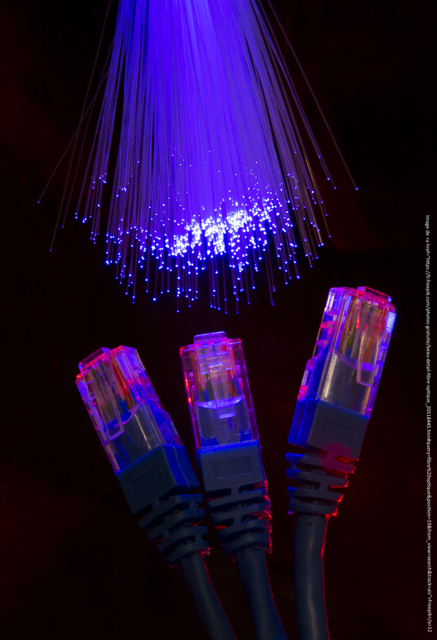 Fibre entreprise