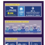 cyberattaque PME Dunkerque statistiques 2025 cybermalveillance